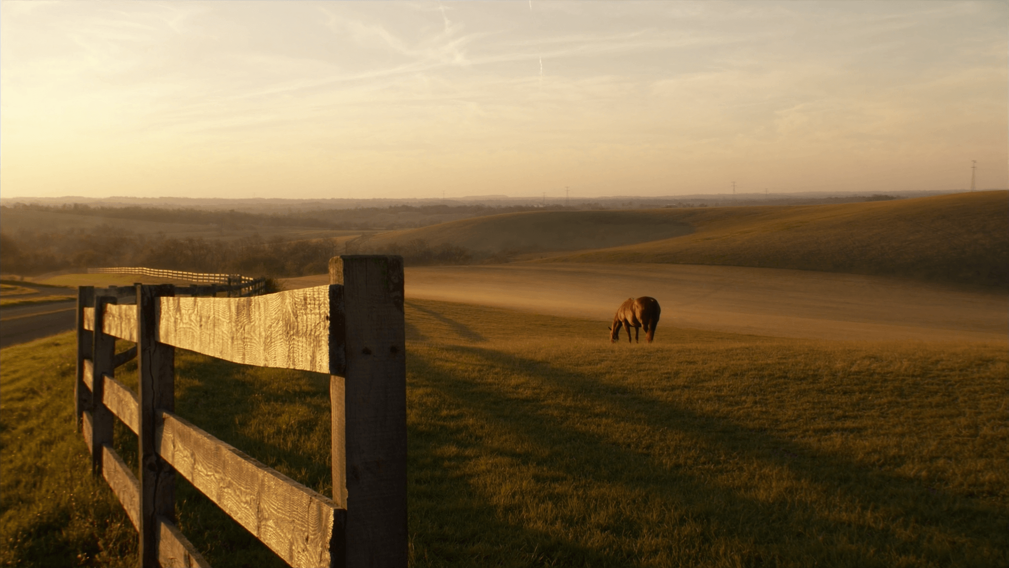 Golden-hour Bluegrass pasture outside Winchester, Kentucky