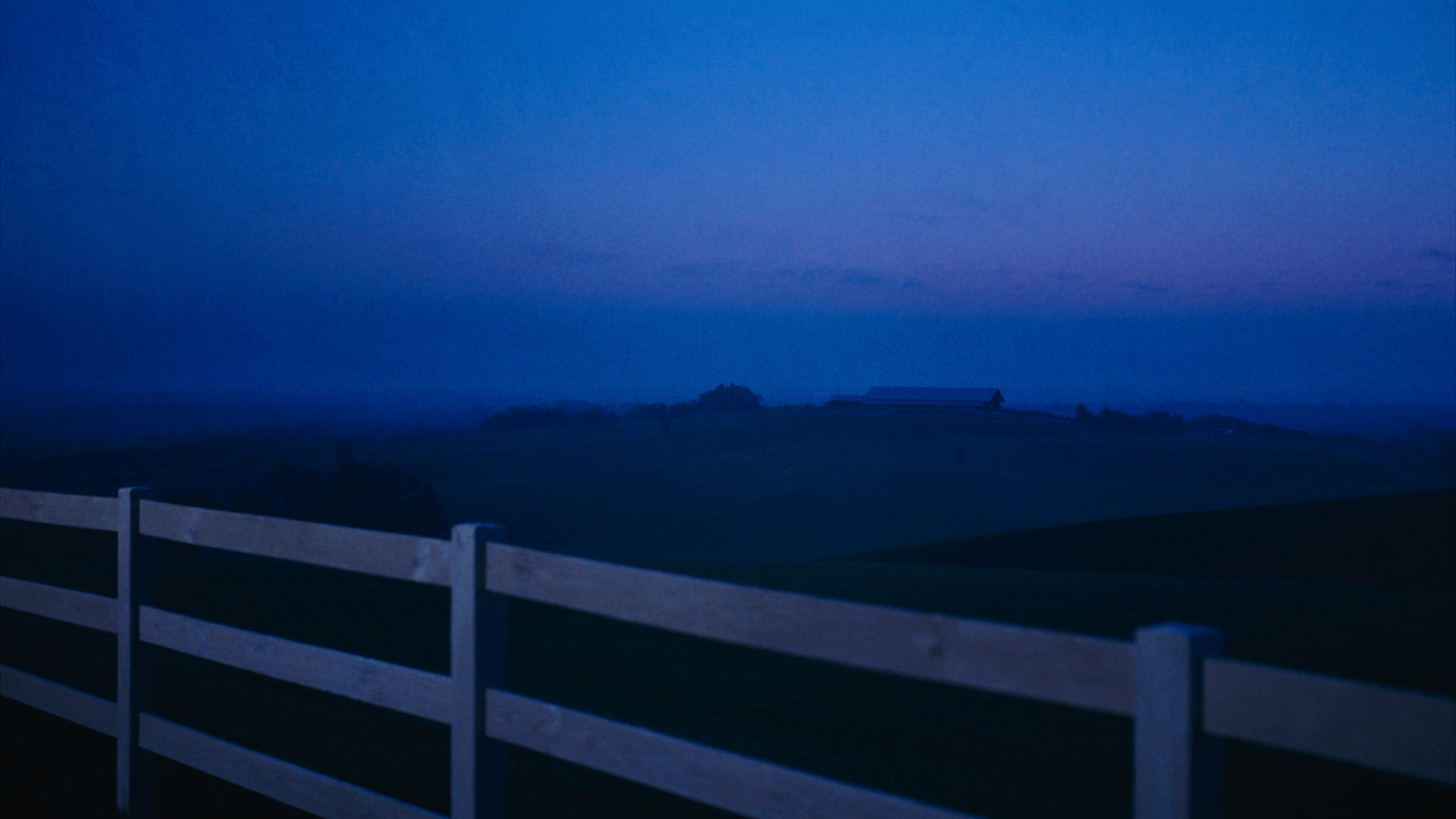 Bluegrass pasture at blue hour